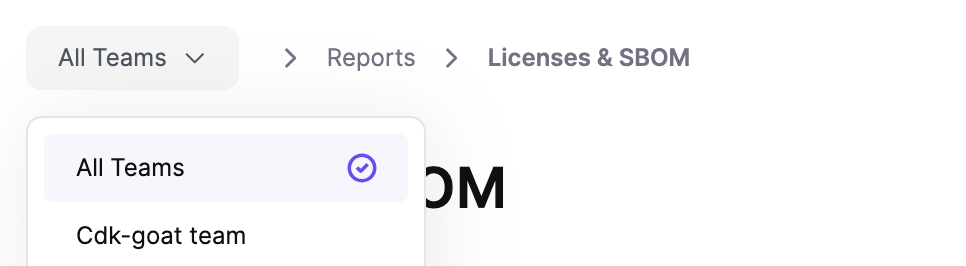 Licenses & SBOMレポートを表示するためのチーム選択ドロップダウン。